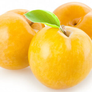 CIRUELO REINA CLAUDIA 1,60