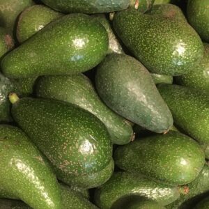 PALTO EDRENOL 1,00 A 1,20